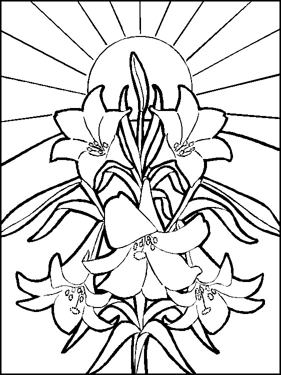 562x750 Coloring Pages For Year Olds Impressive Coloring Pages