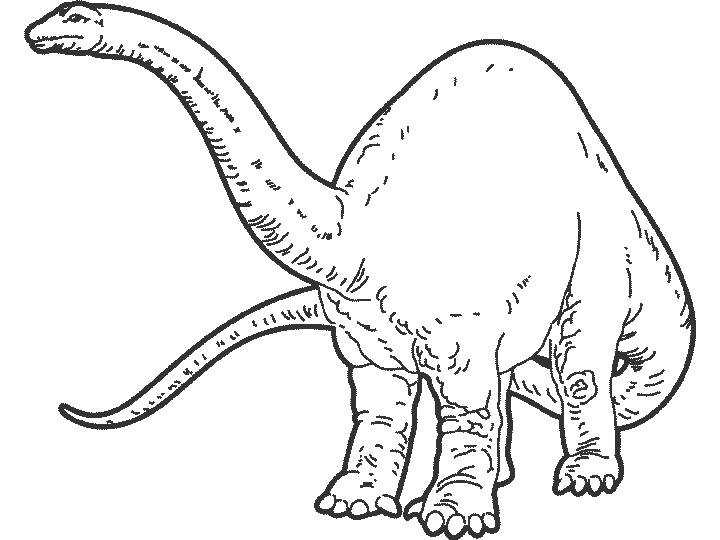 720x540 Printable Dinosaur Coloring Pages Unique Dinosaur Coloring Pages