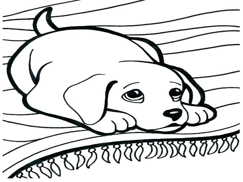 792x594 Color Pages Of Dogs Dog Coloring Sheets Free Printable Free Dog