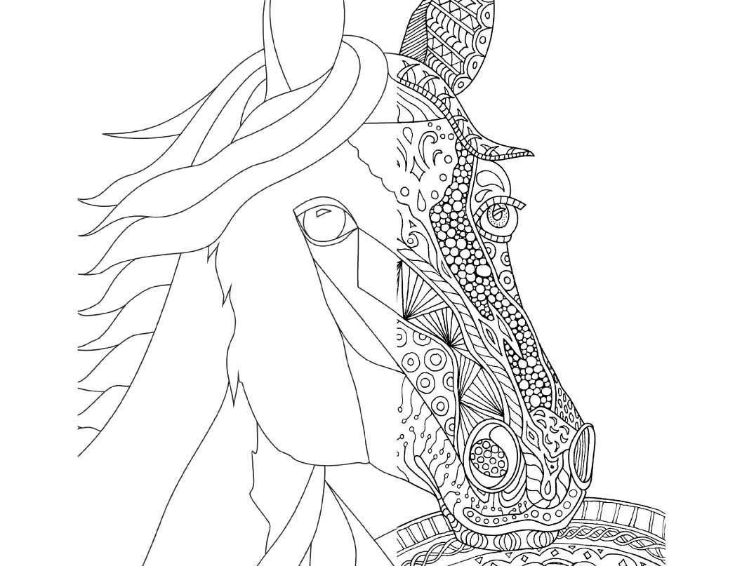 1047x807 Awesome Coloring Sheets Of For Horse Pages Adults Styles And Ideas