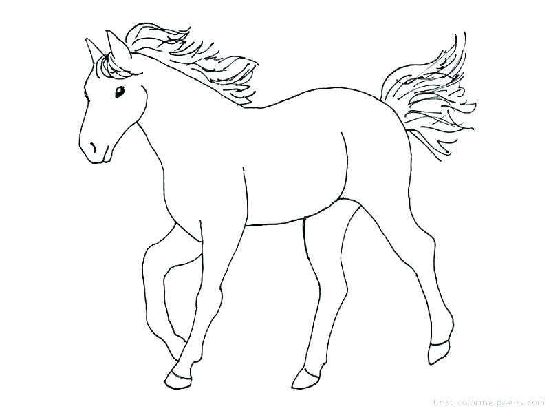 801x600 Mustang Horse Coloring Pages Draft Horse Coloring Pages Free Horse