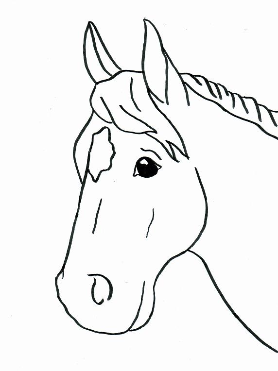 572x764 Best Photos Of Simple Horse Coloring Pages
