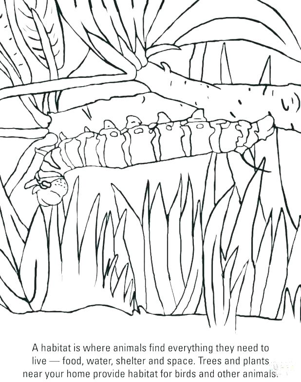 618x785 Machine Coloring Pages Simple Machines Coloring Pages Machine