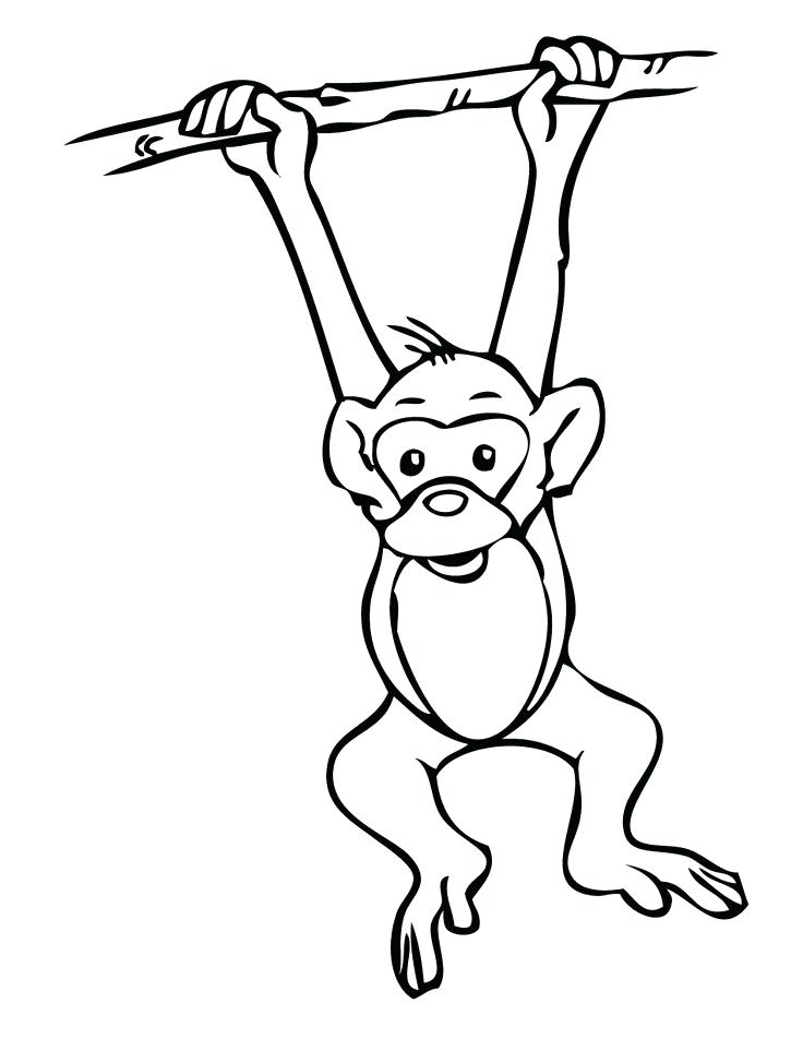 736x952 Monkey Drawing Cute Hanging Monkey Coloring Page Cute Monkey