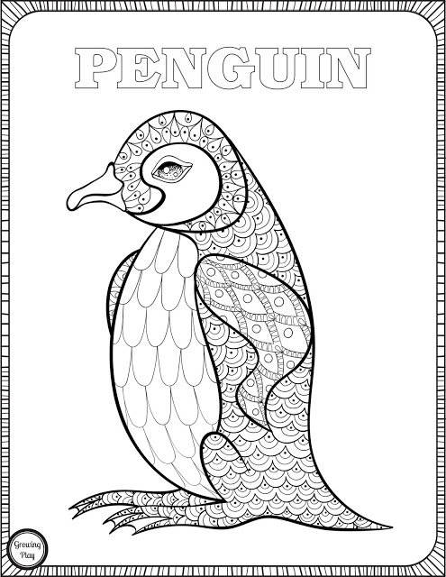 495x640 Growing Play Penguin Coloring Page From Animal Coloring Pages