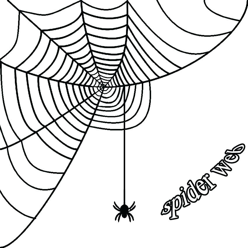 850x850 Halloween Spider Coloring Pages Spider Pumpkin Simple Coloring