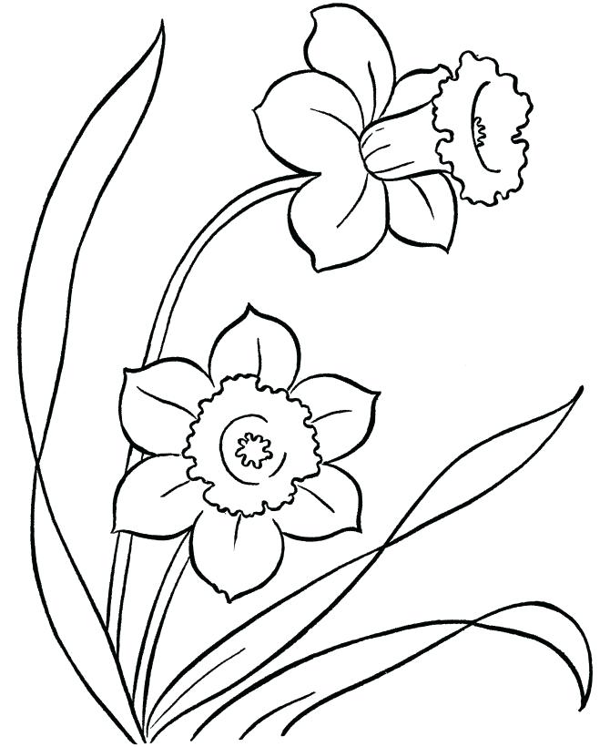670x820 Inspirational Coloring Pages For Kids Flowers And Flower Coloring