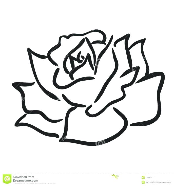 687x734 Outstanding Coloring Page Rose Outstanding Coloring Page Rose