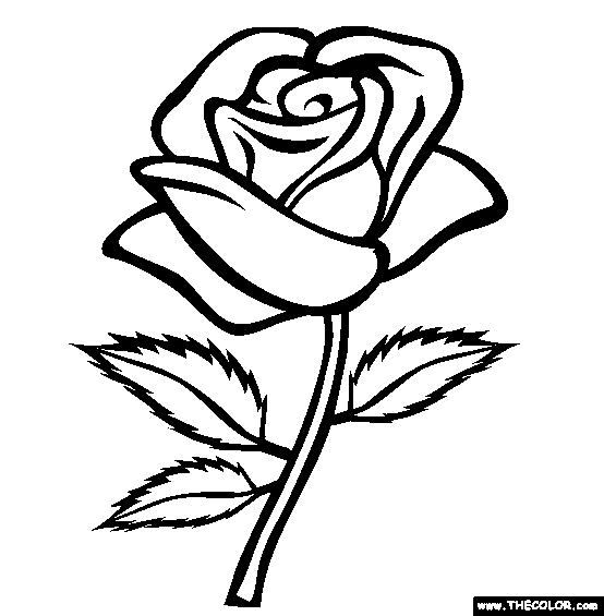 554x565 Rose Coloring Pages Simple Rose Coloring Pages Preschool To Sweet