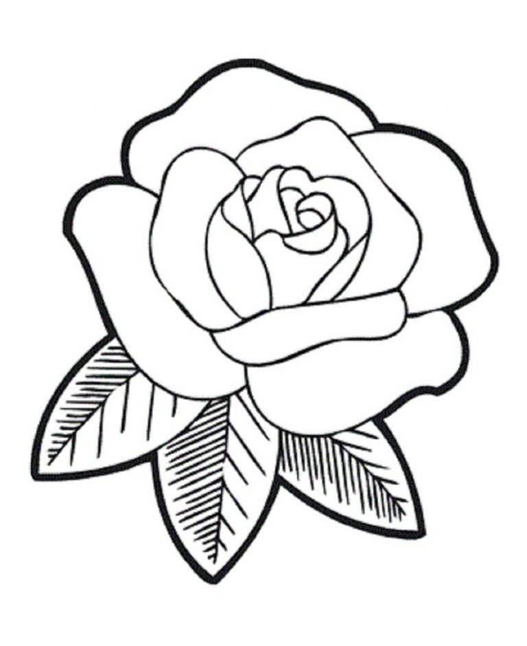 768x940 Simple Rose Coloring Pages Copy New Top Easy Flower Free Kids