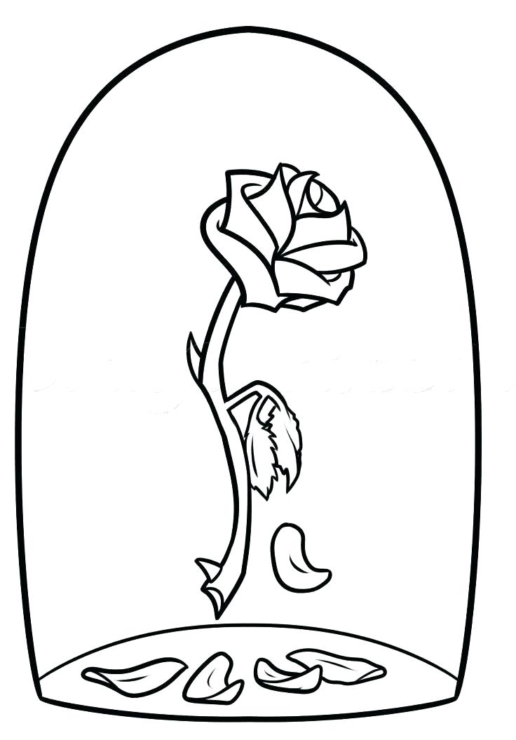 736x1055 Simple Rose Coloring Pages Free Coloring Compass Rose Coloring