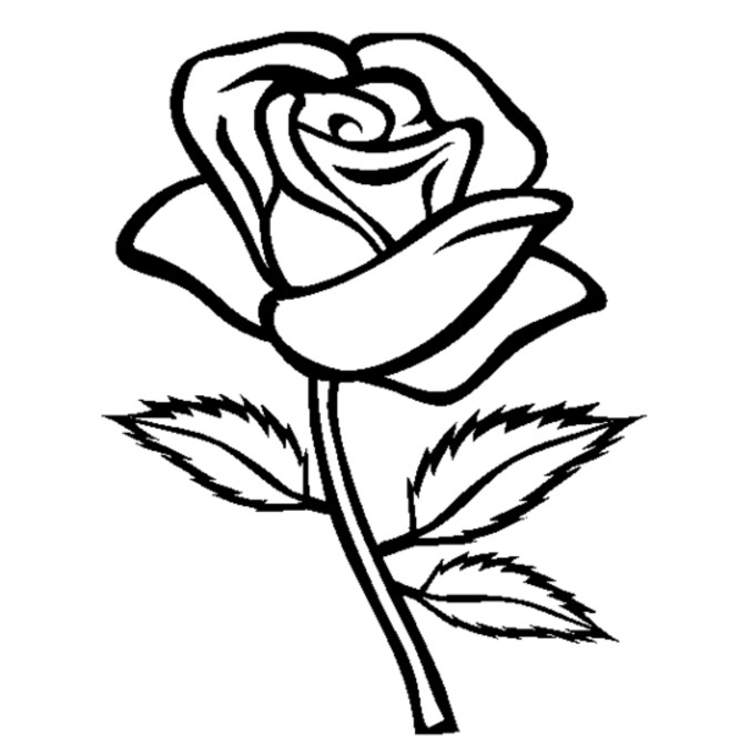 658x671 Simple Rose Coloring Pages Printable For Everyone