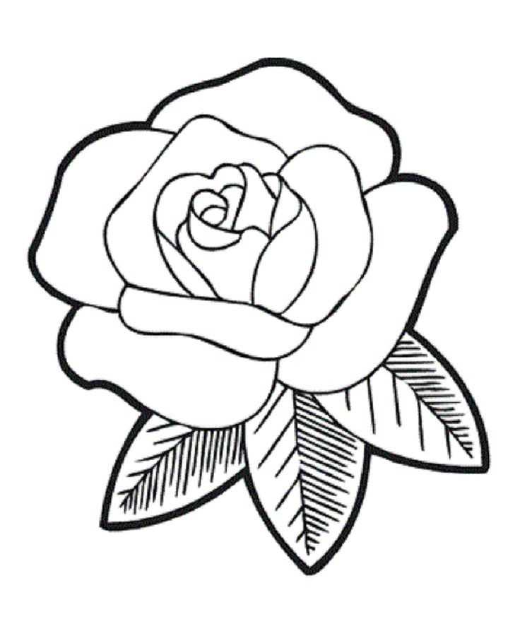 736x900 Simple Rose Coloring Pages Printable Of Flowers For Kids World