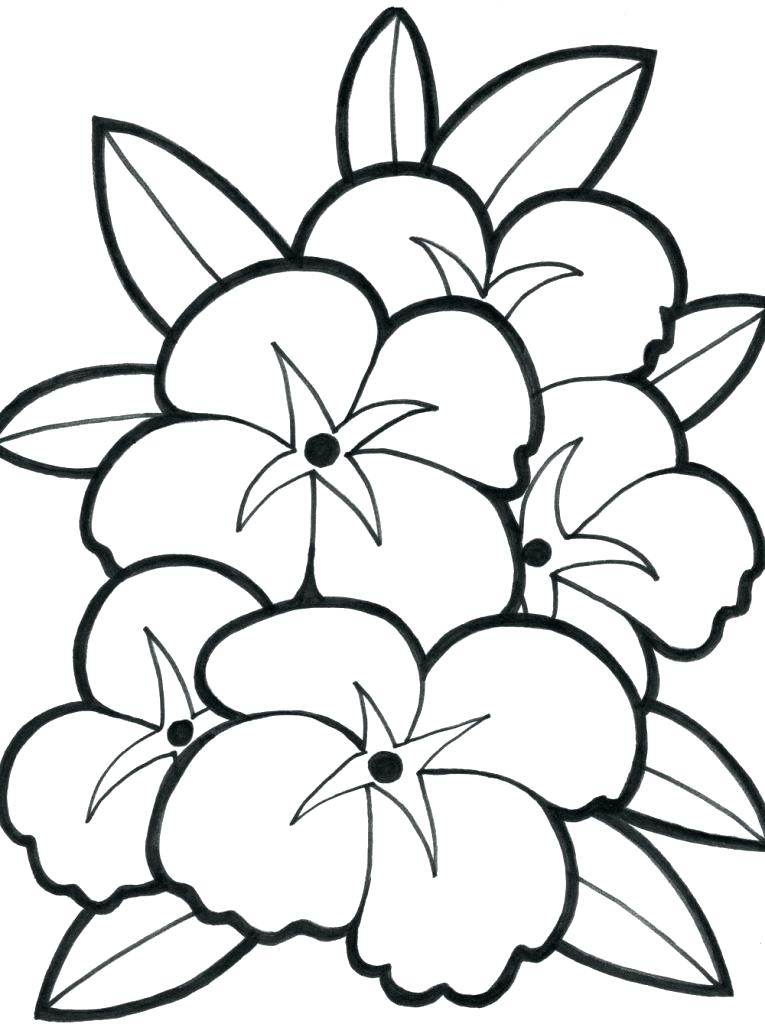 765x1024 Coloring Pages For Kids Flowers Simple Flower Coloring Pages Kids