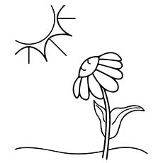 230x230 Top Free Printable Summer Coloring Pages Online