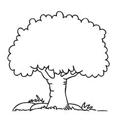230x230 Simple Tree In Tree Coloring Pages