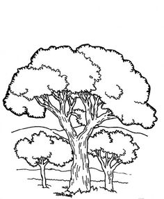 236x287 Simple Tree Coloring Page Have Children Color Then Ink Thumb