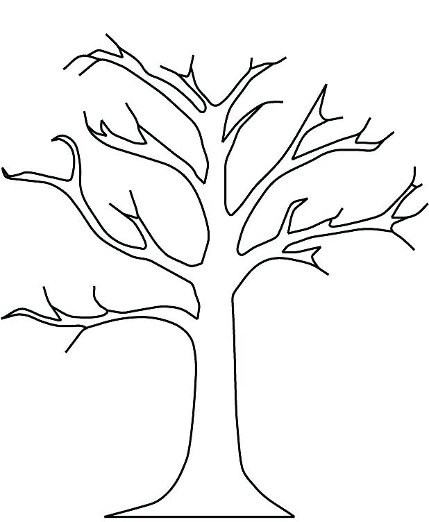 618x752 Tree Six Simple Trees Easy Coloring Pages For Toddlers Free