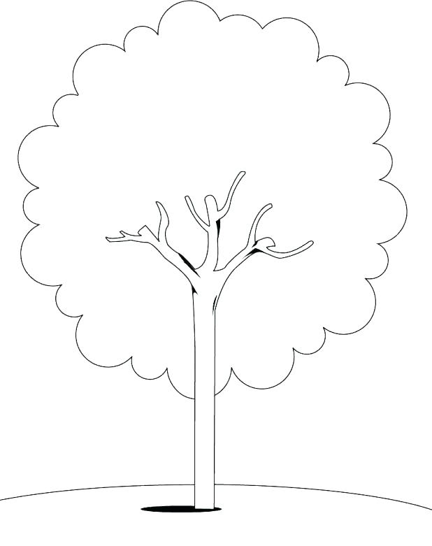 618x781 Trees Coloring Pages Coloring Pages Of Trees Palm Trees Coloring