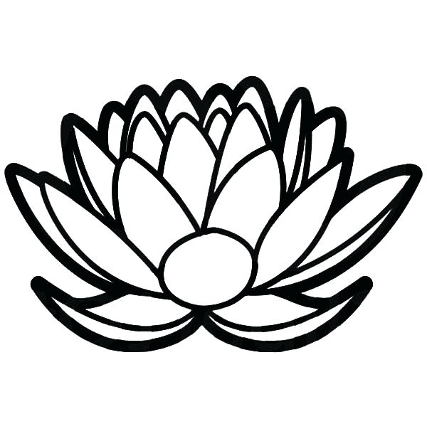 600x627 Free Single Flower Coloring Pages Page Images A Lotus