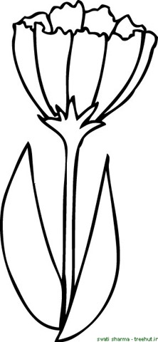 222x480 Printable Flower Coloring Pages