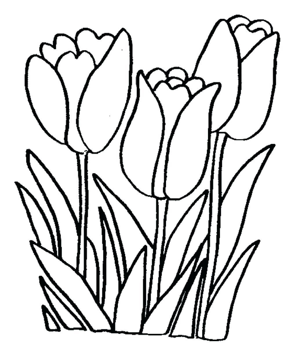 1025x1243 Shocking Draw A Single Flower Coloring Pages For When They Want