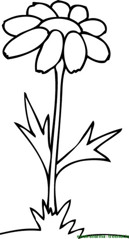 259x480 Simple Flower Coloring Pages