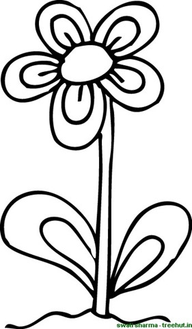 281x480 Single Flower Coloring Pages Printable Flower Coloring Pages