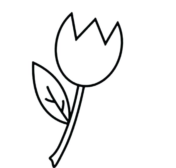 600x572 Free Single Flower Coloring Pages Flowers Healthy