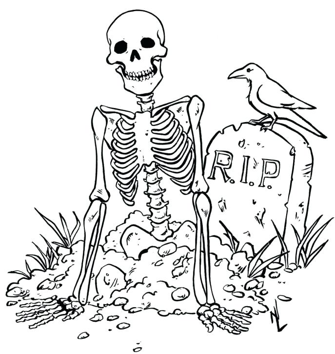 687x725 Skeletal System Coloring Pages Medium Size Of Skeleton Coloring