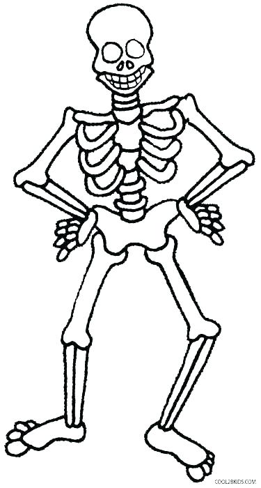 375x700 Skeleton Coloring Page Skeletal System Coloring Pages Human