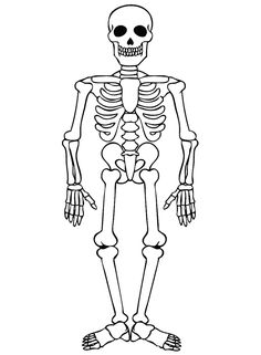 236x321 Anatomy Coloring Book Pages Free Printable Coloring Pages Body
