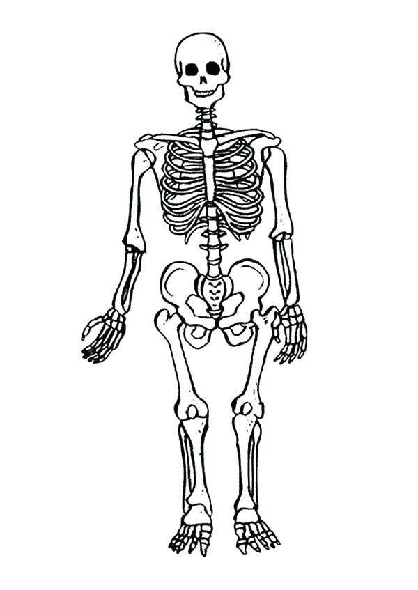 600x847 Skeleton Coloring Book Also Fishers Of Men Coloring Page