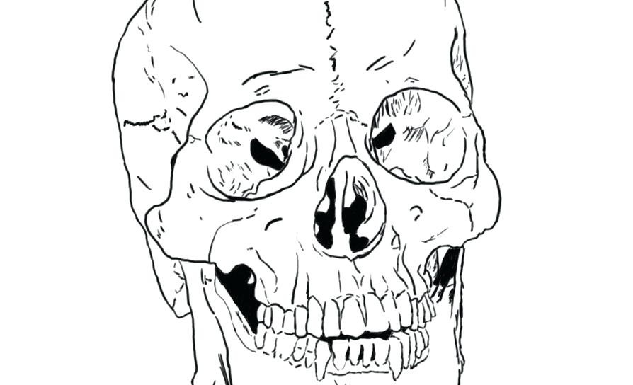 894x544 Skull Coloring Pages Anatomy Skeleton Coloring Pages Anatomy Skull