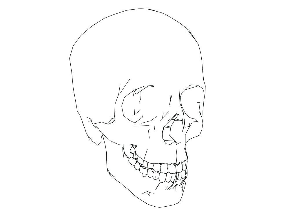 970x728 Skull Coloring Pages Anatomy Sketch Coloring Page Image