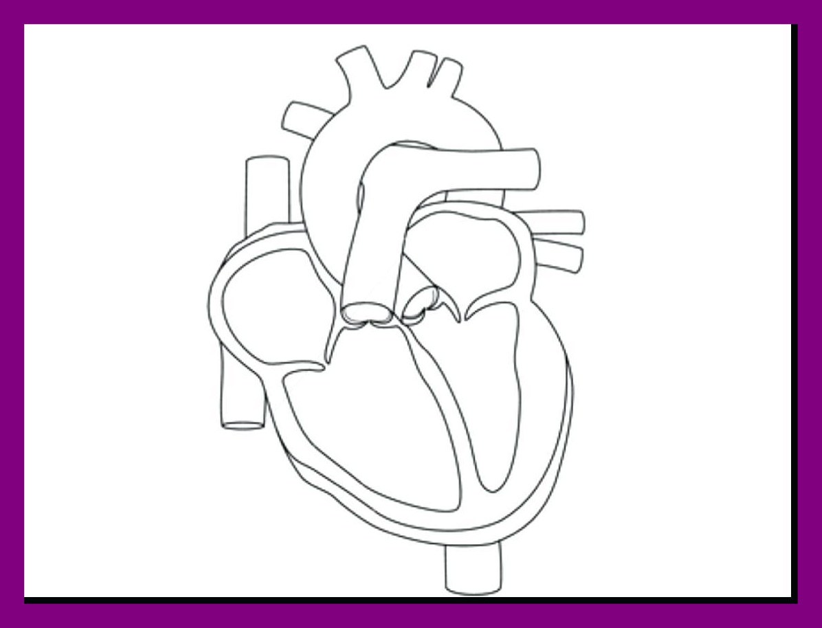 1196x914 The Best Skeleton Coloring Anatomy Spider Man Sheet Amazing Pics