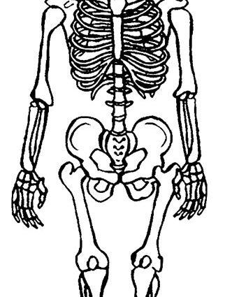 322x425 Skeleton Coloring Pages Anatomy Printable Skeleton Coloring Pages