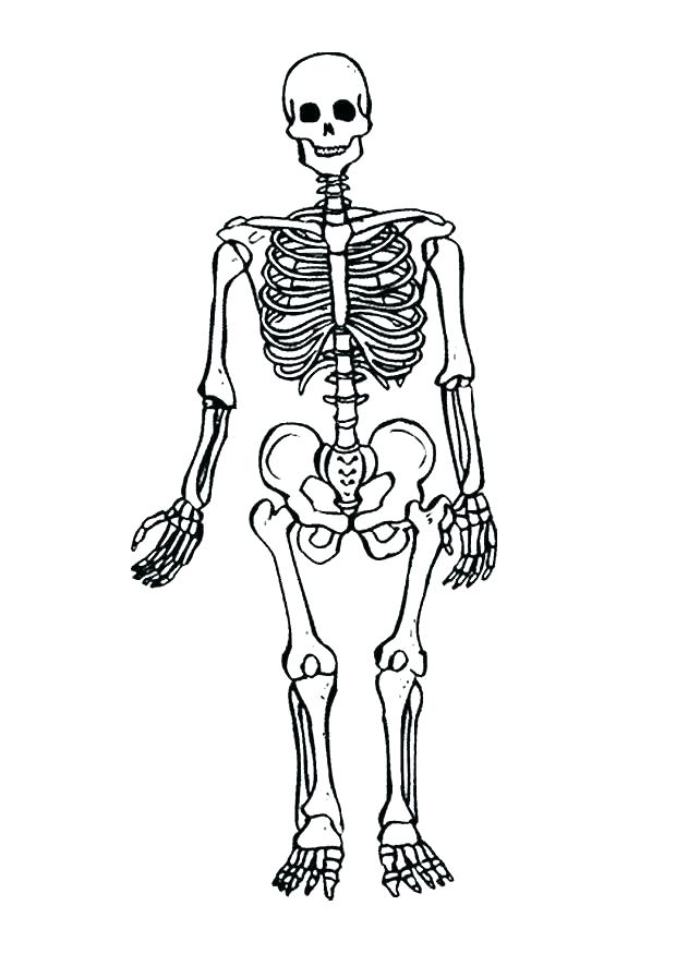 620x875 Skeleton Coloring Sheet Jack Coloring Page With Skeleton Coloring
