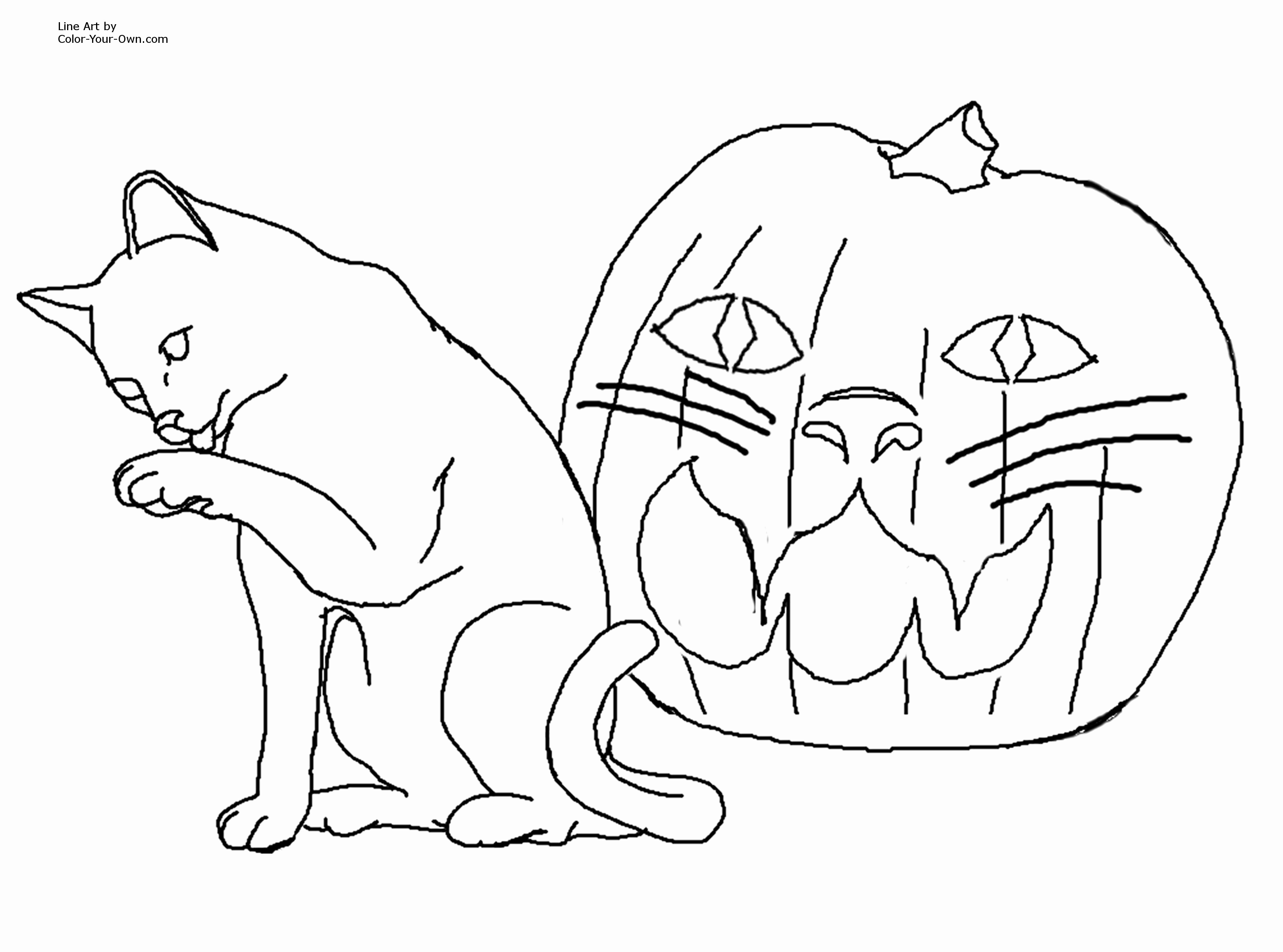 3232x2400 Skeleton Coloring Sheet Unique Awesome My Little Pony Coloring