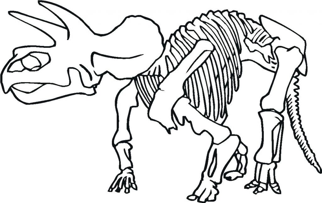 1024x645 Coloring Pages Skeleton Coloring Page Printable Dinosaur Bones
