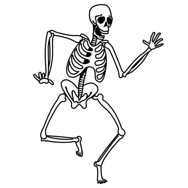 600x600 Skeleton Coloring Pages