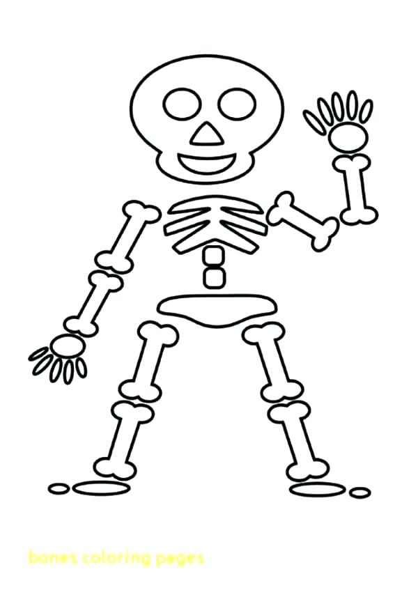 600x857 Skeleton Coloring Pages To Print Able Printable Human Skeleton