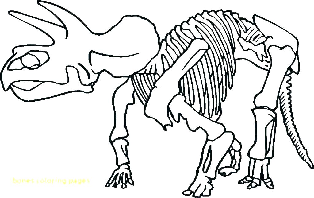 1024x645 Skeleton Coloring Sheet