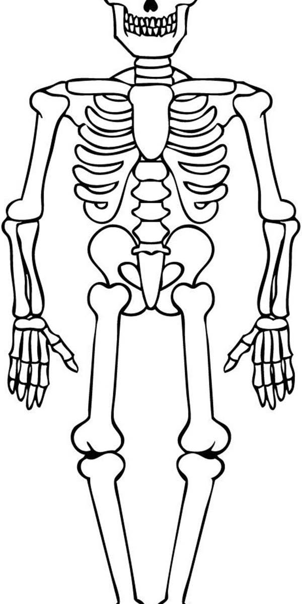 600x1200 Halloween Coloring Pages Skeleton Pumpkin Free Printable Adult