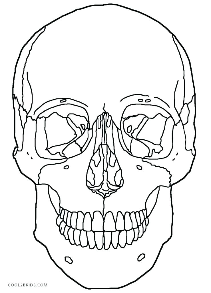 739x1024 Halloween Skeleton Coloring Pages Coloring Pages Skeleton Coloring