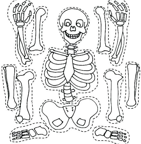 582x592 Skeleton Coloring Sheet Medium Size Of Skeleton Coloring Page