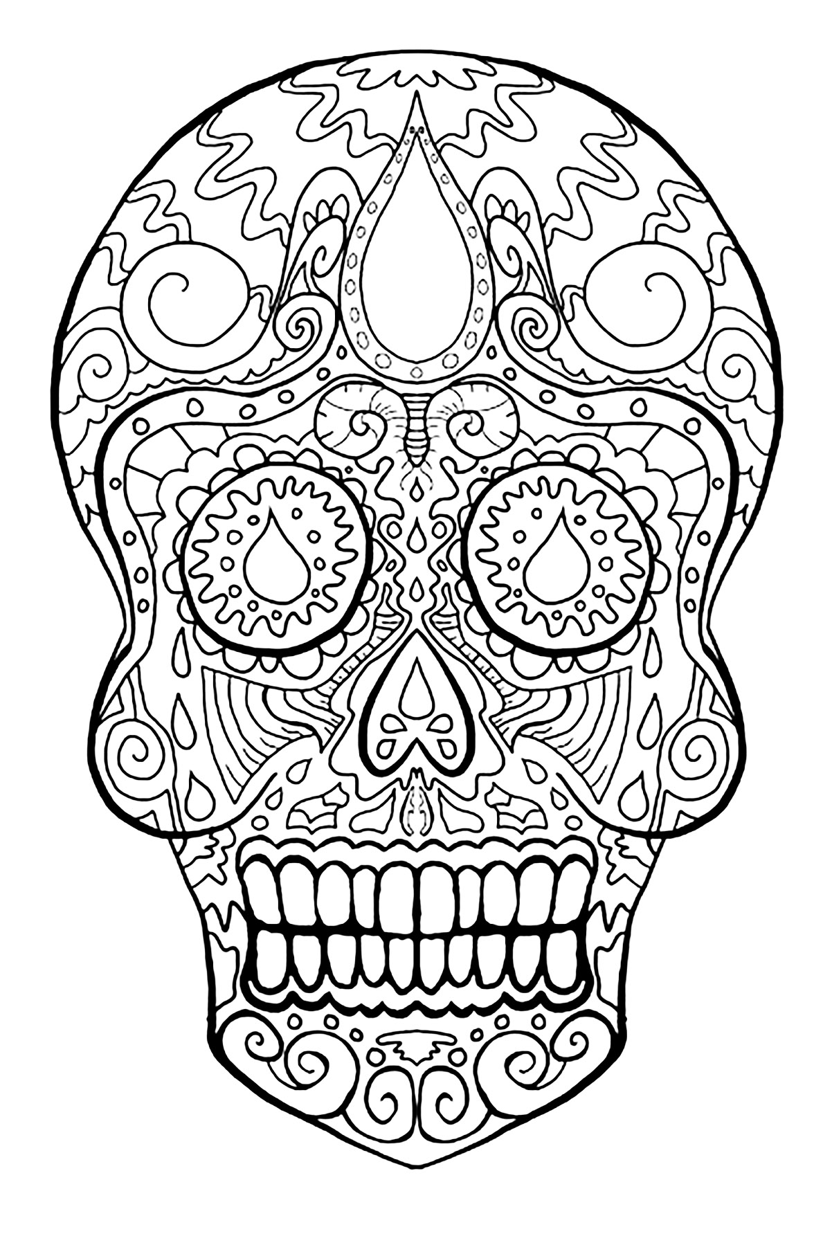 1202x1786 Skull