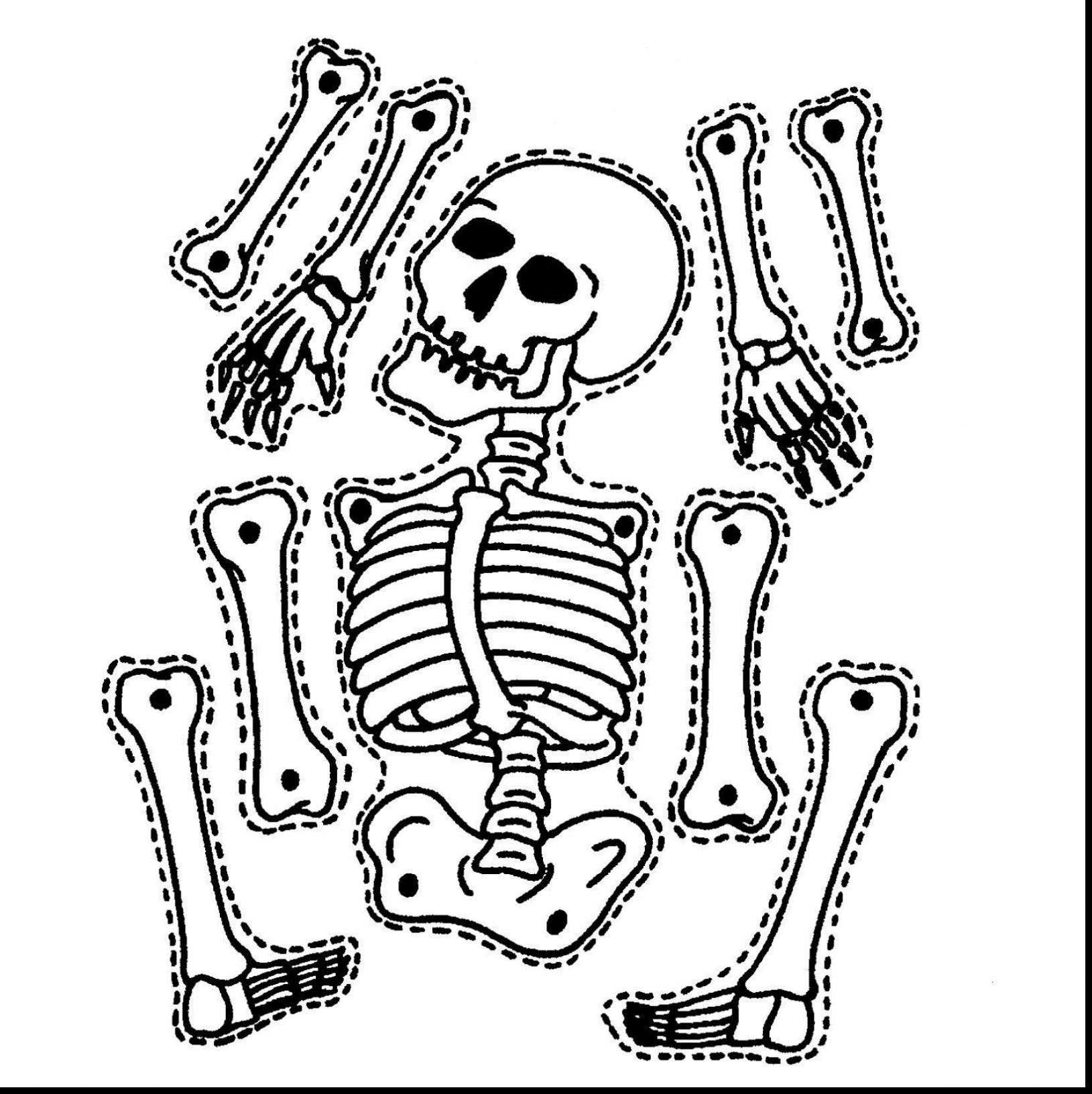 1629x1632 Skeleton Coloring Pages For Preschoolers Copy Pirate