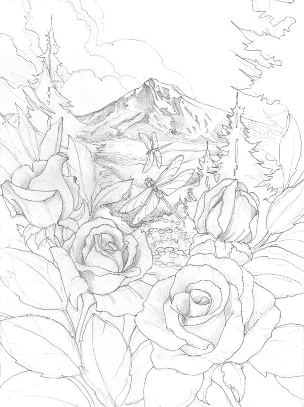 600x803 Best Coloring Pages