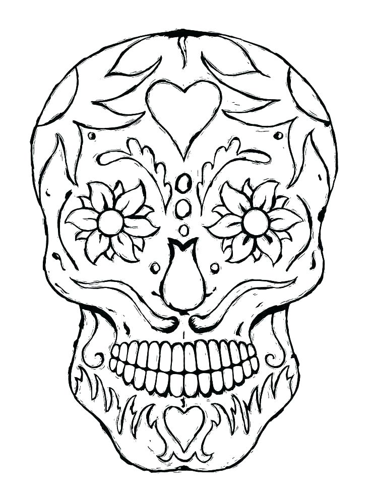 736x1001 Skull Bones Anatomy Coloring Pages Of Skulls Free Printable Human
